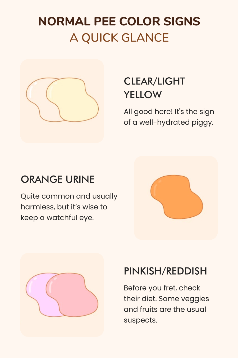 🐹 The Ultimate Guide to guinea pig urine Guineadad